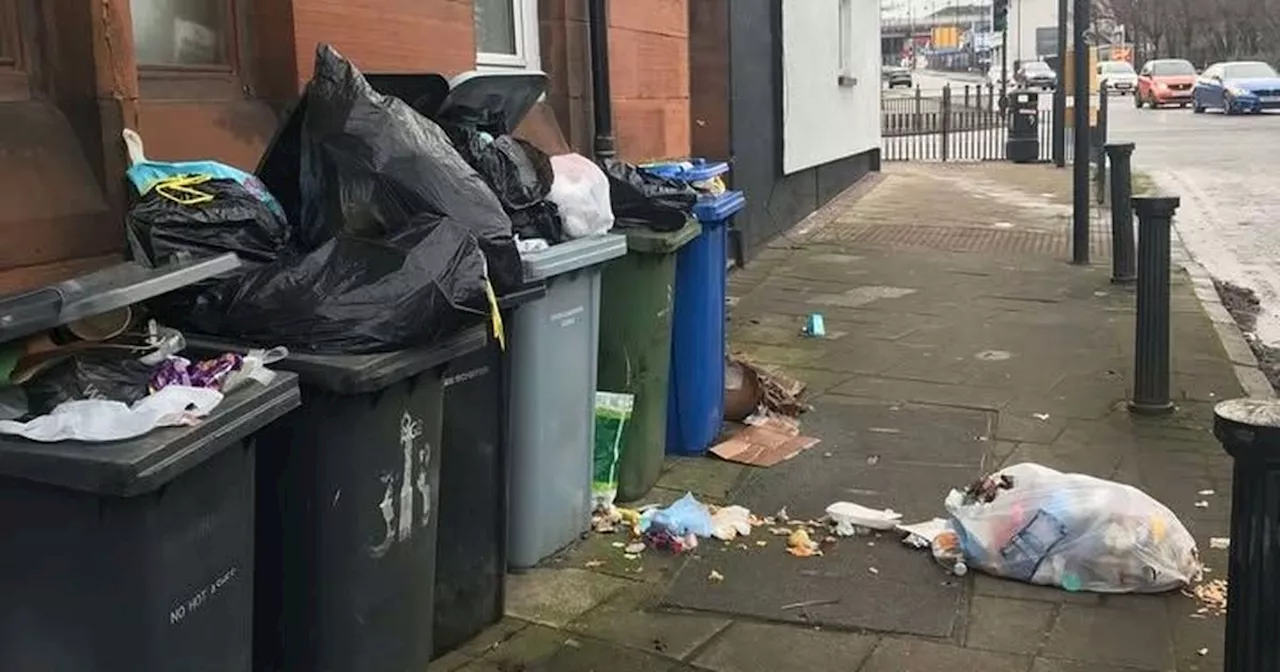 Call for action as bins being left out in Rutherglen streets are attracting rats