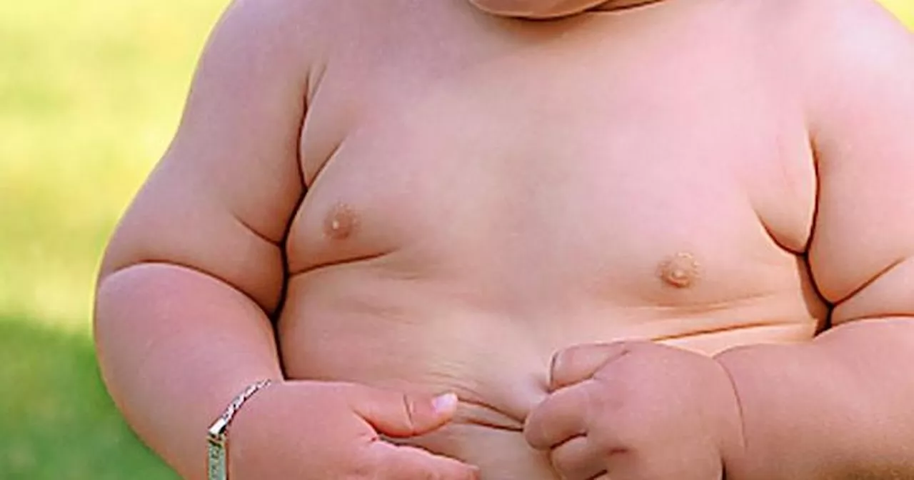 Number of kids at risk of being overweight or obese at lowest level in a decade