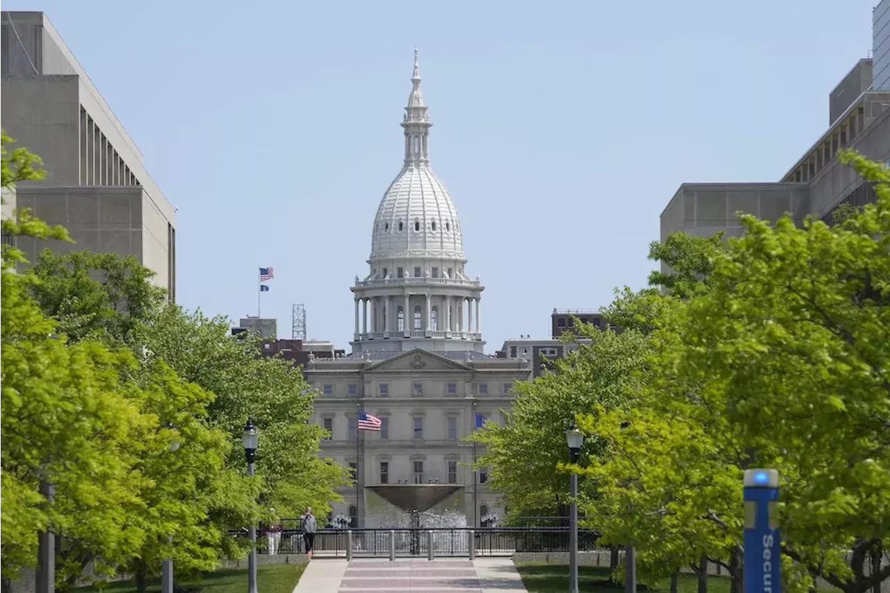 Michigan state lawmaker introduces amendment to prevent noncitizens from voting in elections