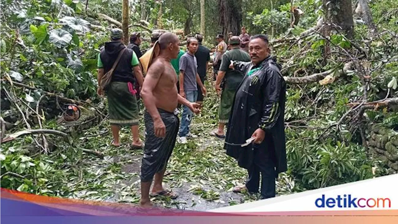 Cuaca Ekstrem di Ubud: Empat Nyawa Melayang dalam Dua Hari