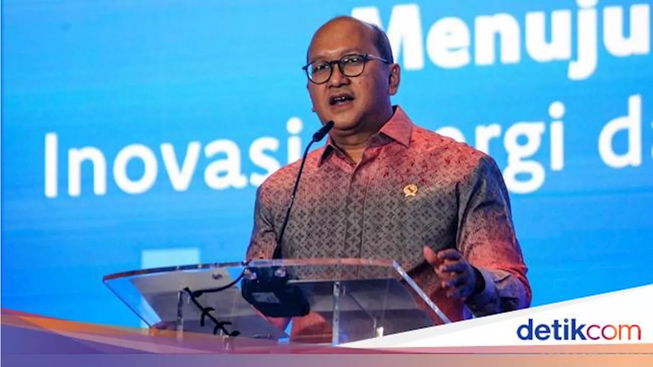 Hilirisasi 28 Komoditas, Rosan Sebut Butuh Investasi Rp 9.826 T