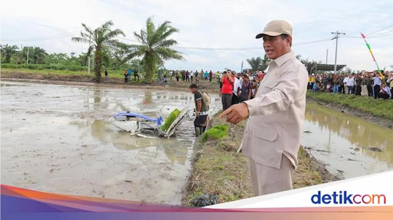 Tinjau Sawah di Sumut, Mentan Pastikan Program Swasembada Berjalan Lancar