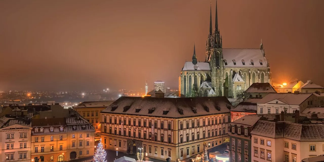 Advent im tschechischen Brno: Reptil und Turbomošt: Brünn, die «Weihnachtshauptstadt 2024»