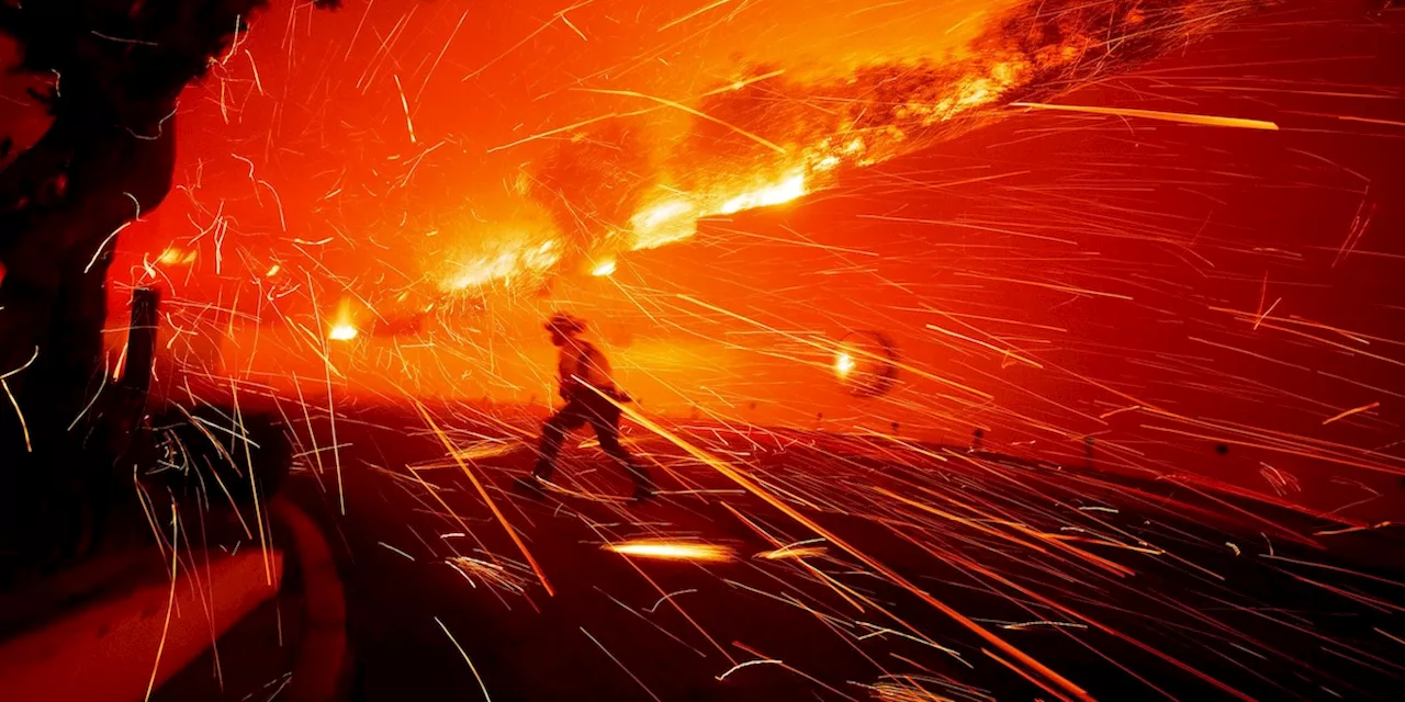 Waldbrand in Malibu außer Kontrolle - auch Promis flüchten