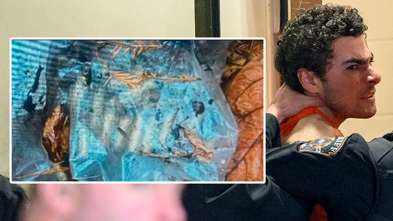 Central Park dogwalker finds bag of bullets tied to CEO killing