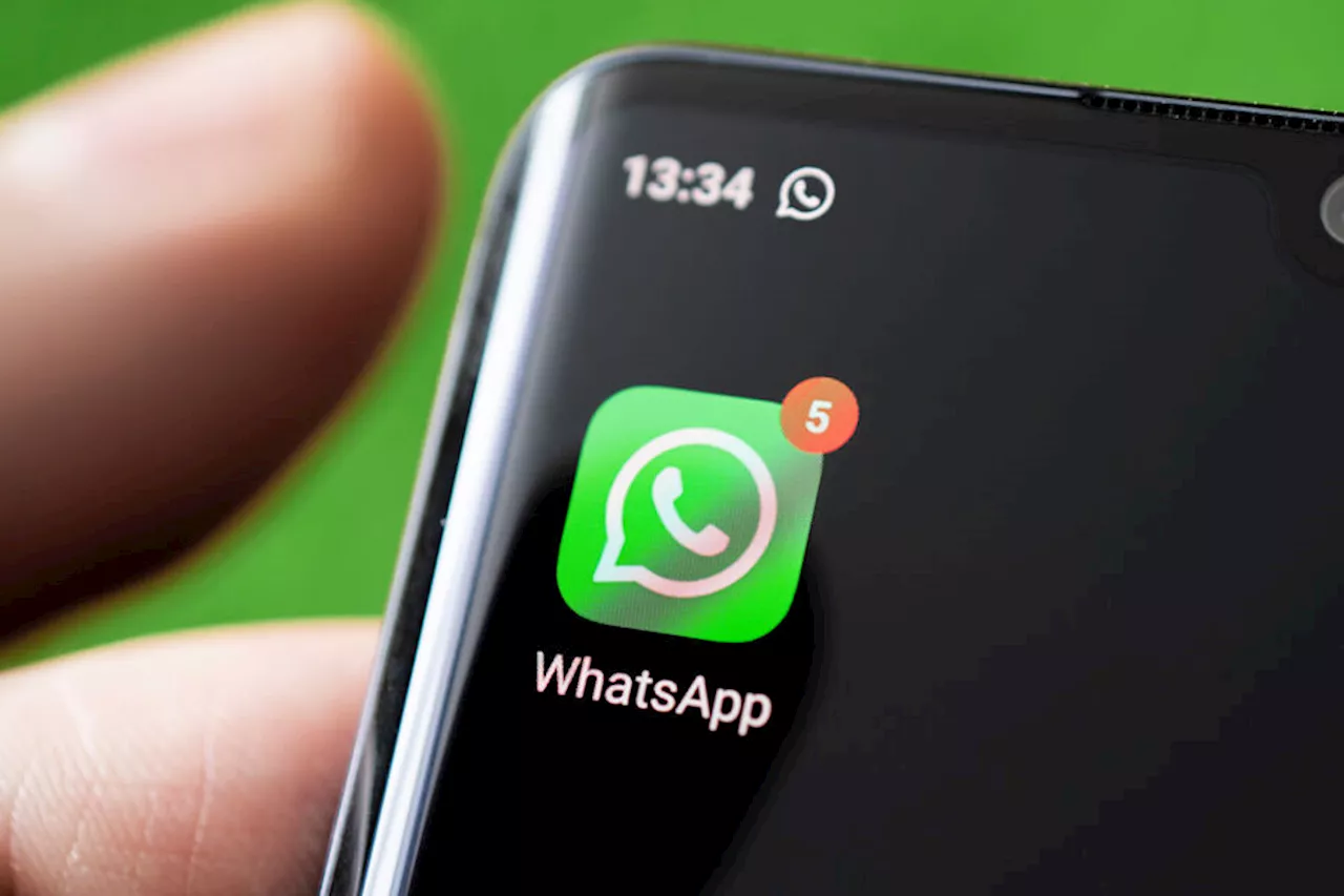 WhatsApp устранил неполадки - Газета.Ru