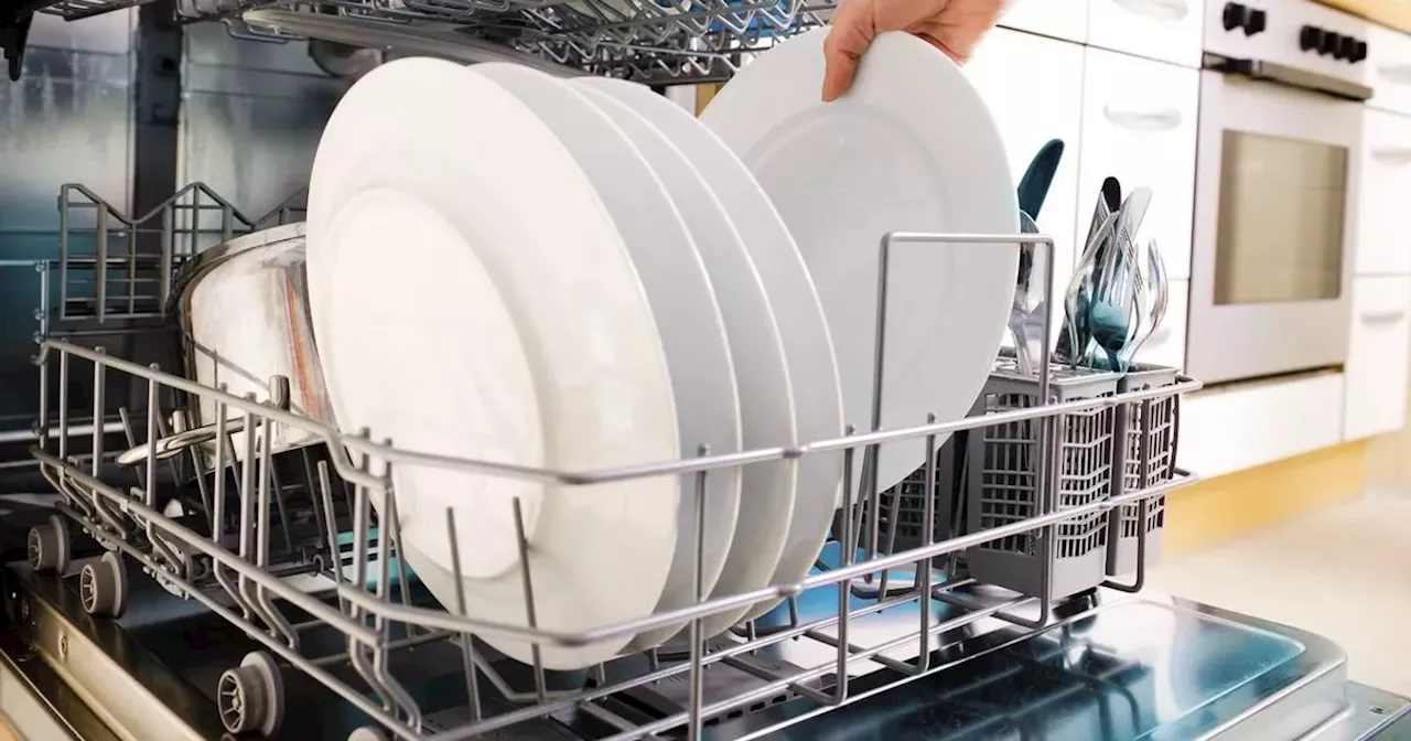 Woman discovers 'disgusting' thing she missed when cleaning her dishwasher