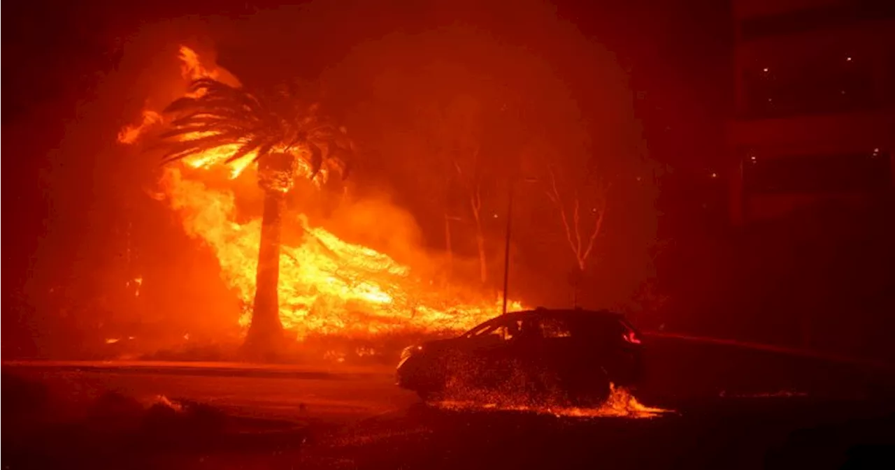 Malibu wildfire: Cher, Dick Van Dyke among 20k evacuees