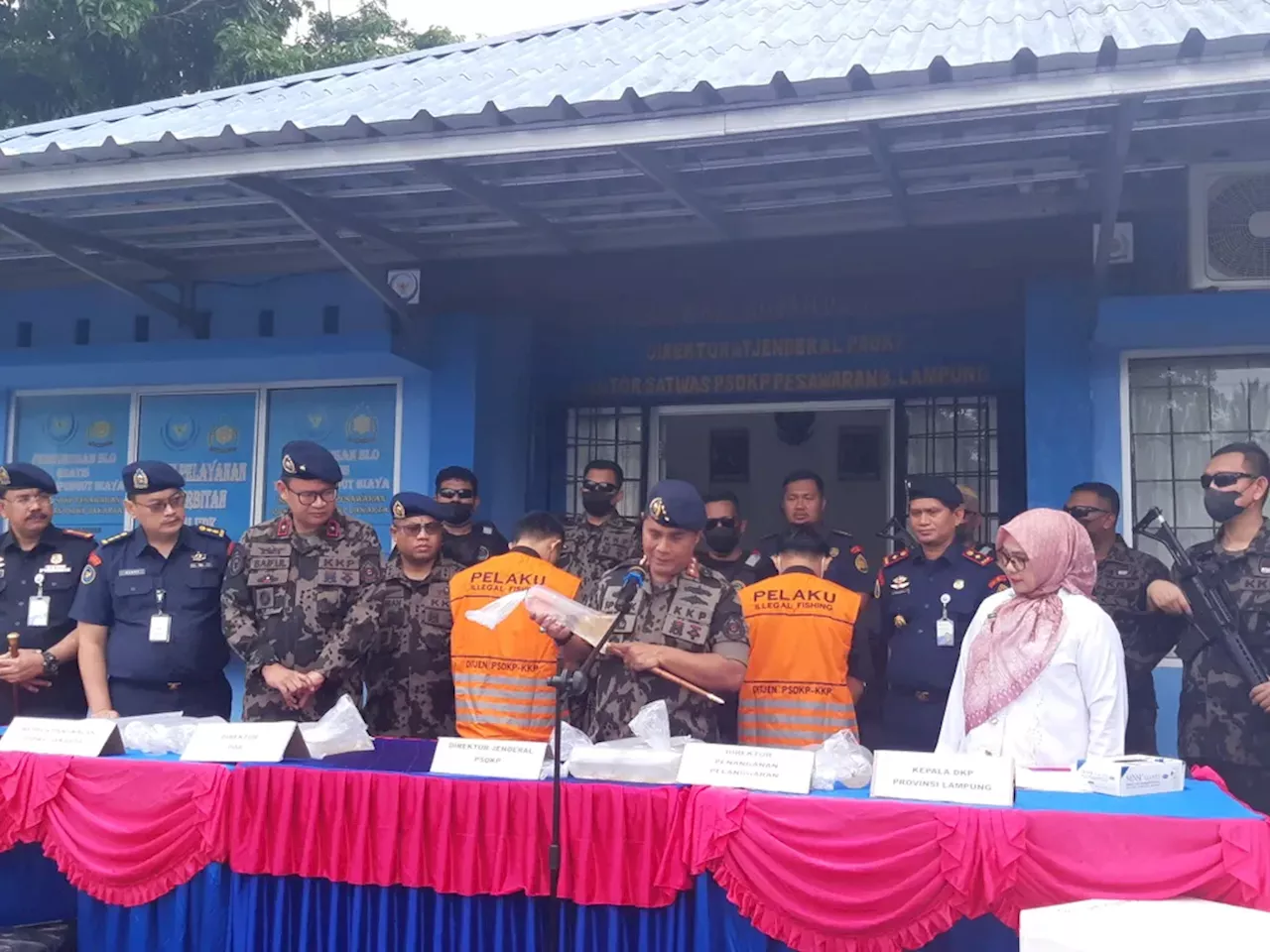 Penyelundupan Puluhan Ribu Benih Lobster Digagalkan di Lampung