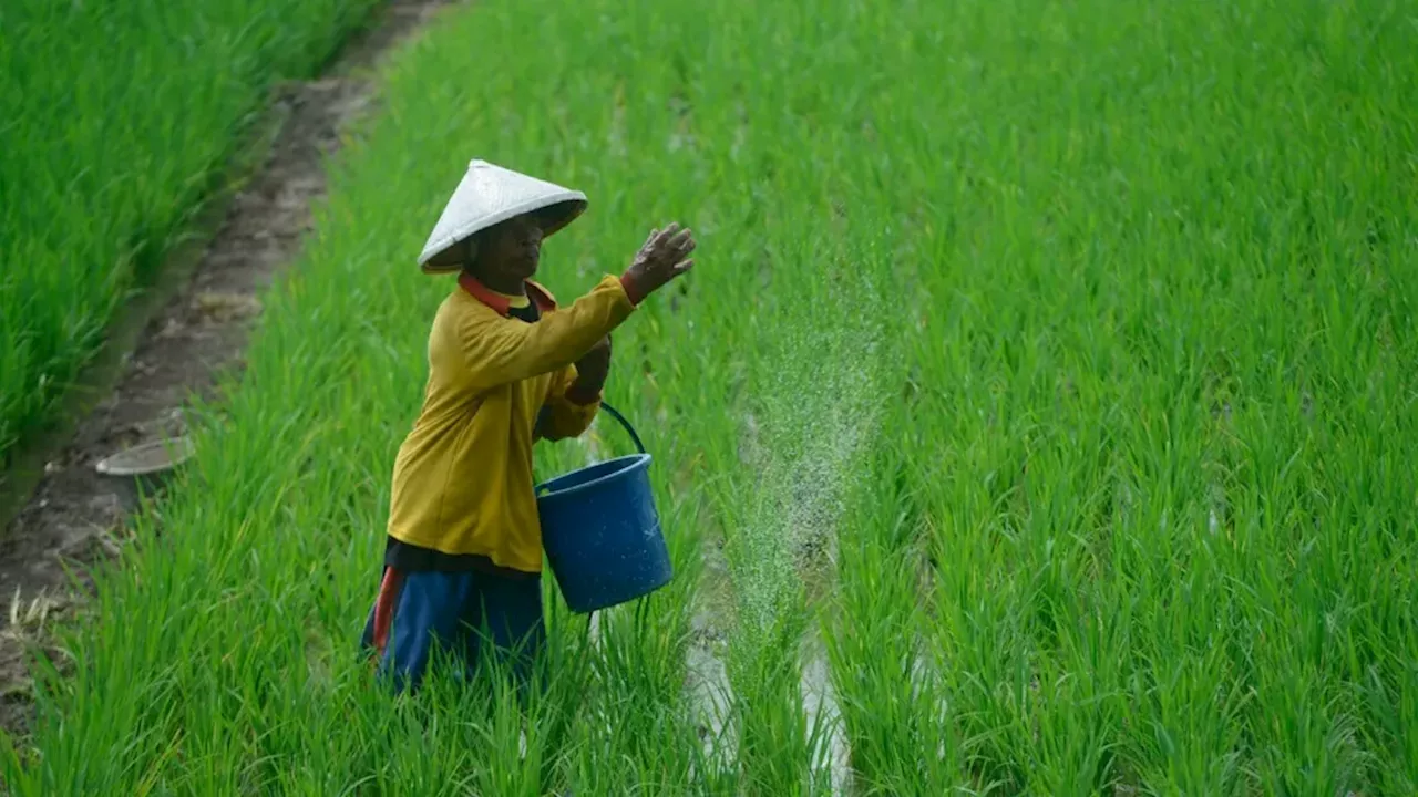 Transformasi Gabungan Kelompok Tani Jadi Koperasi Mulai Dirintis