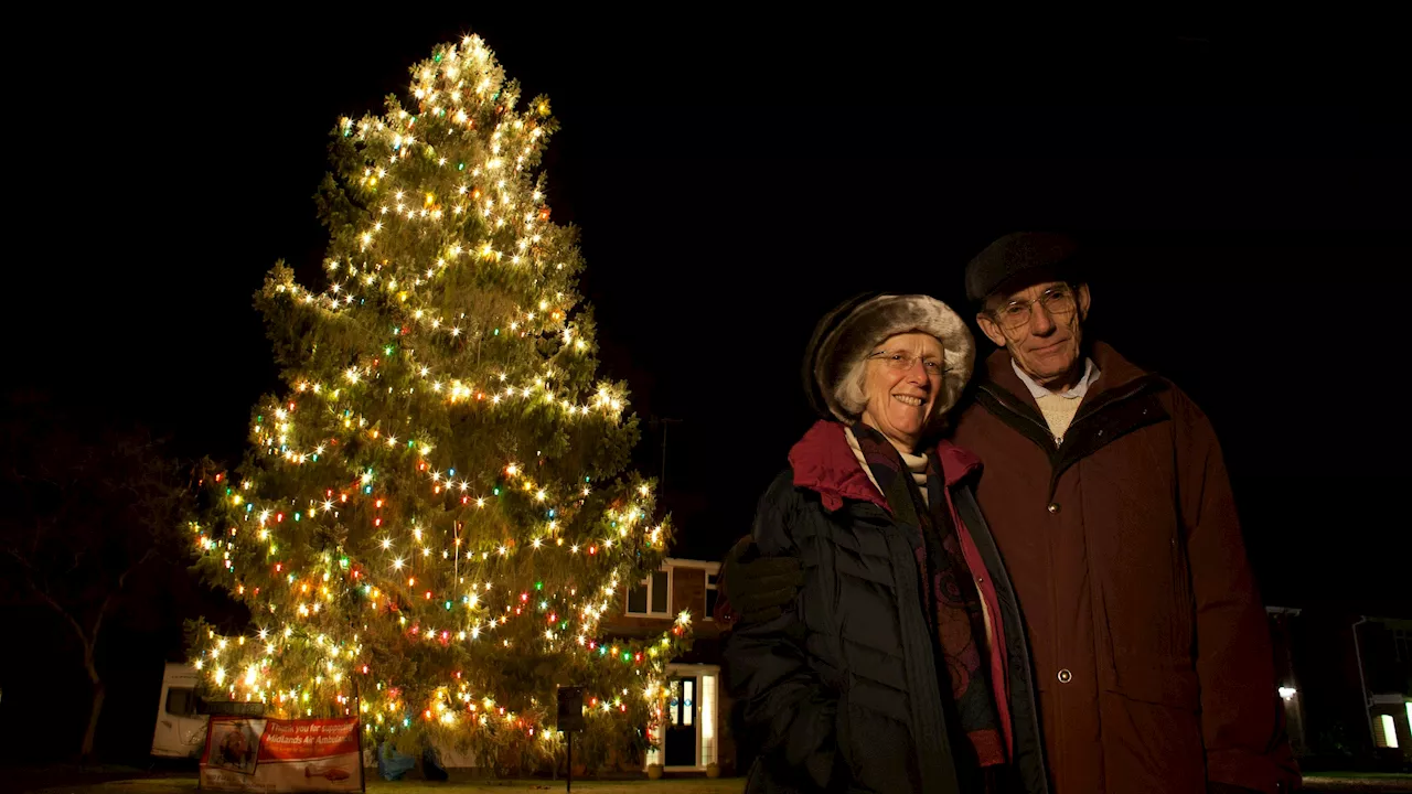  XXL-Christbaum in ihrem Garten ist Touristen-Attraktion