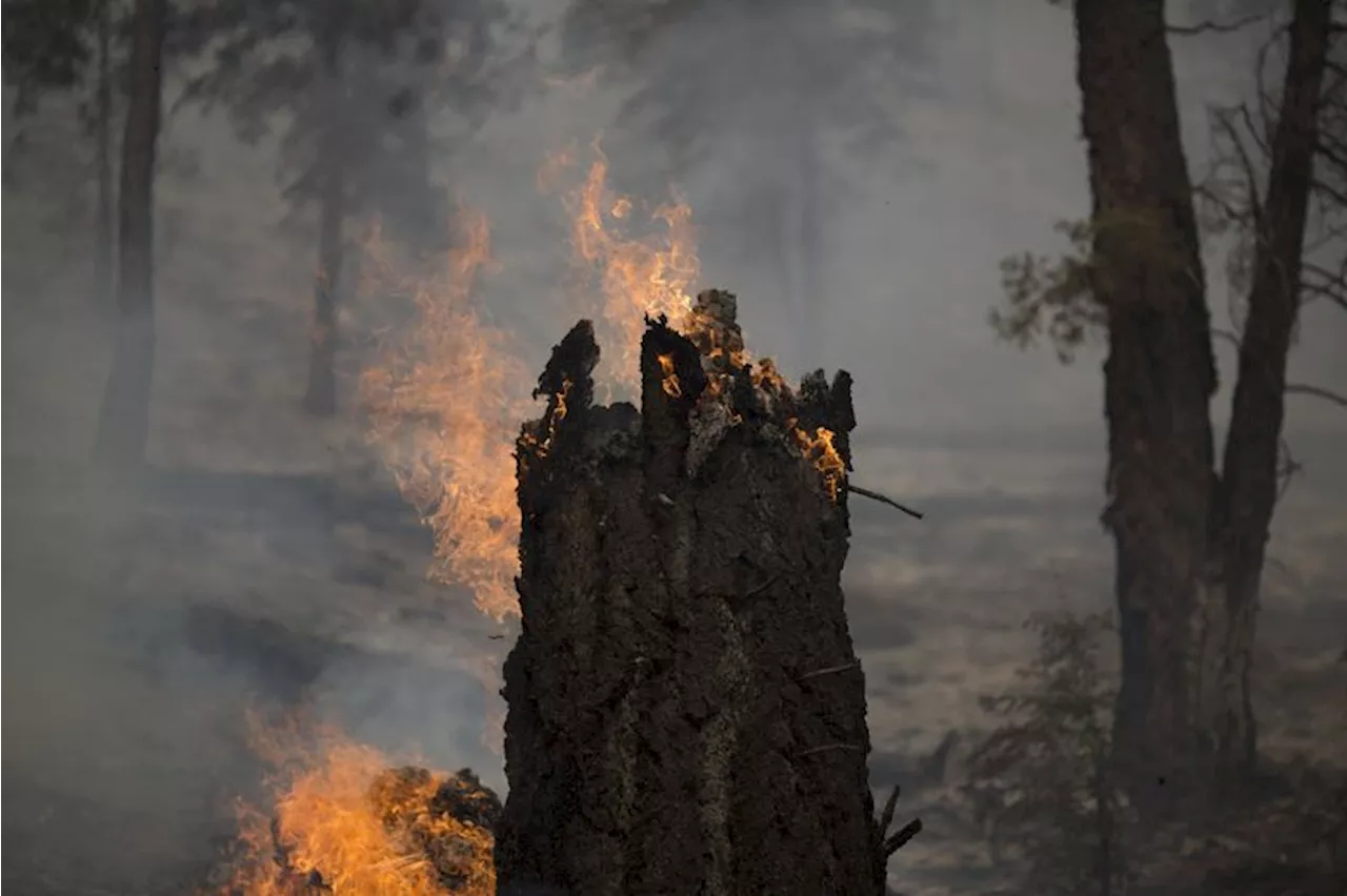 Waldbrand in Malibu außer Kontrolle - auch Promis flüchten