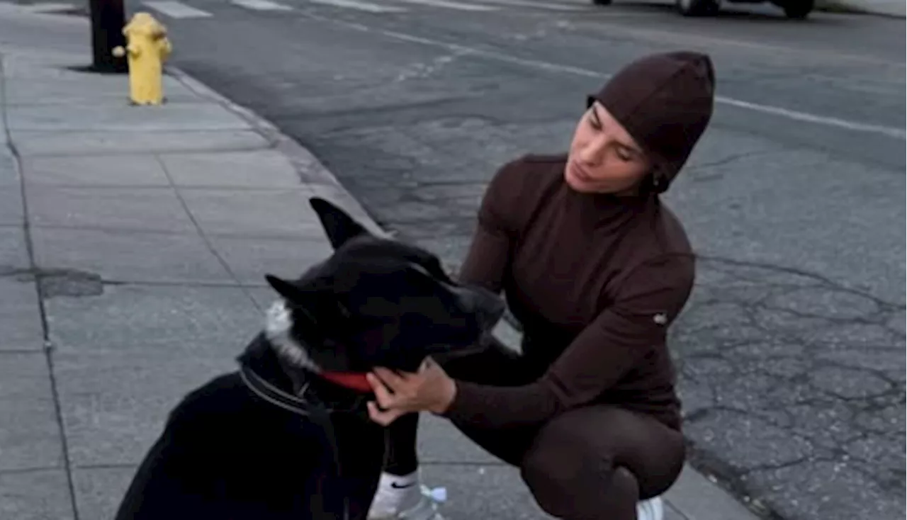 L'amore per gli animali di Elisabetta Canalis: «Da oggi sono una 'foster mom'»