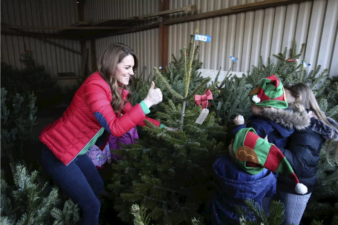 Per il Natale a Sandringham re Carlo III vuole solo regali low cost e spiritosi