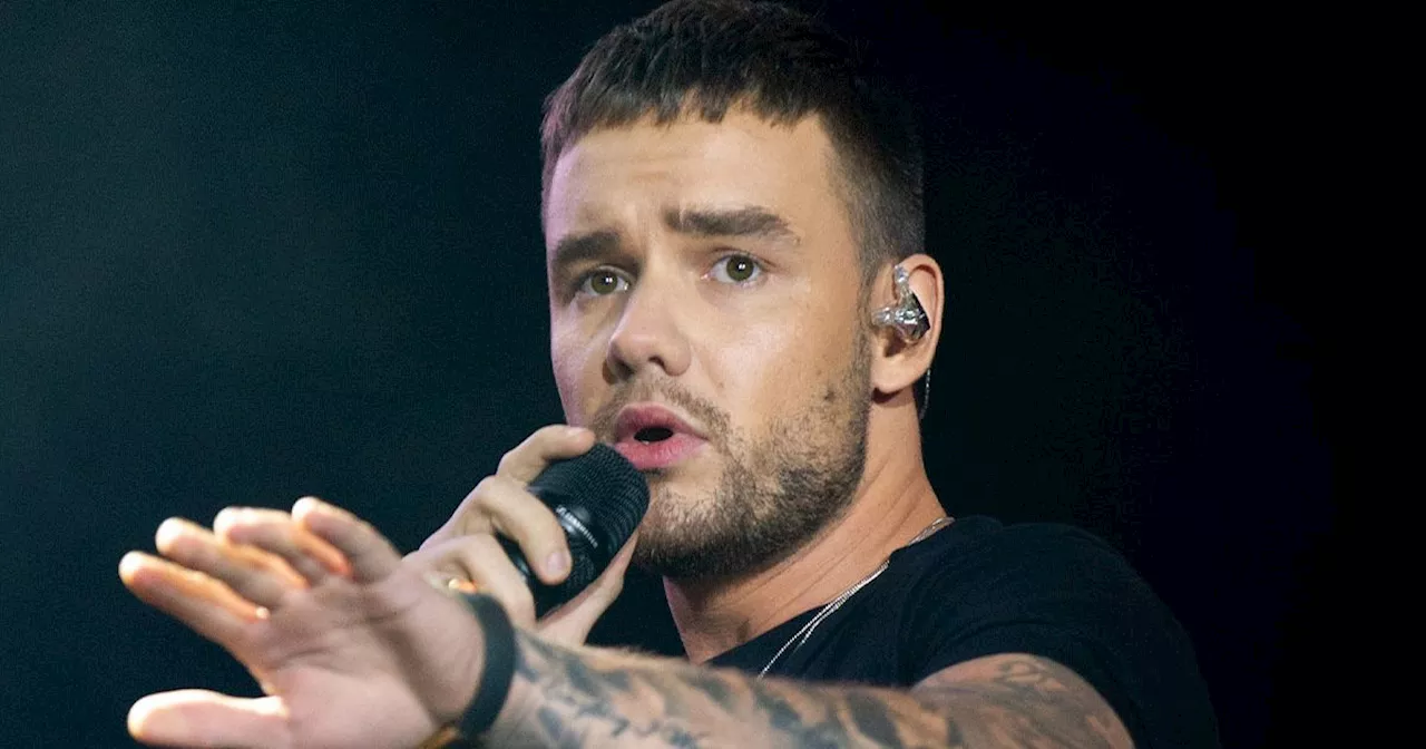 Rock star defends calling Liam Payne 'arrogant and lacking in self awareness'