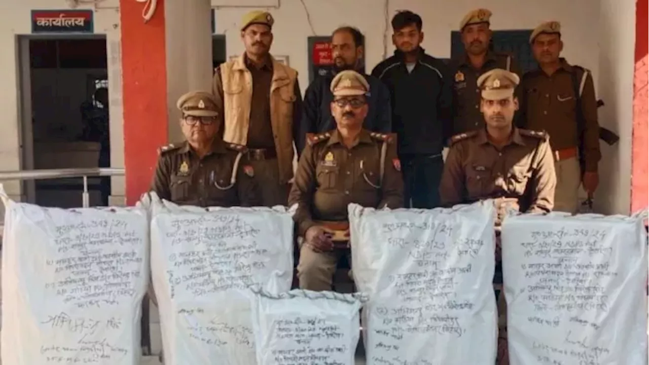 UP News: देवरिया में STF और पुलिस की संयुक्त कार्रवाई, 18 लाख का गांजा बरामद