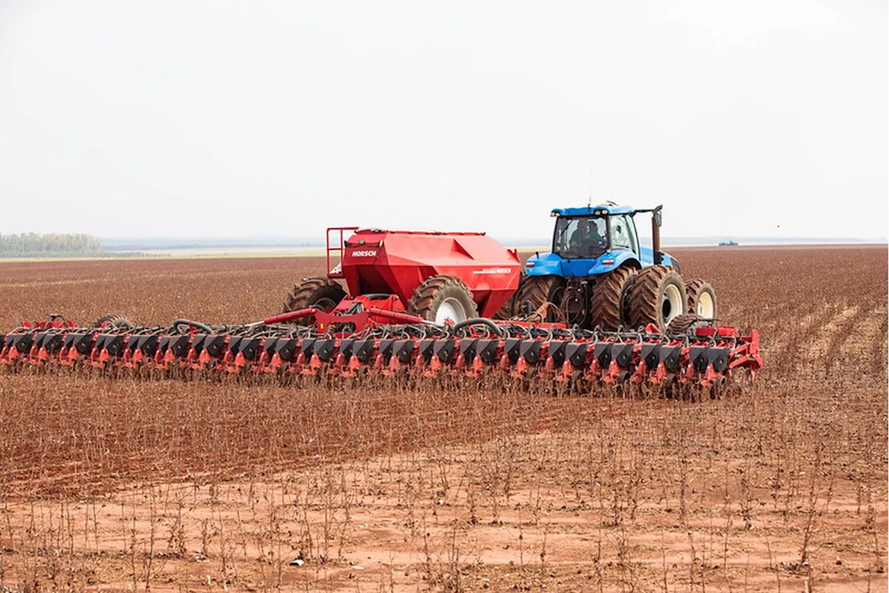 PIB do agro deve crescer 5% em 2025, estima confederação