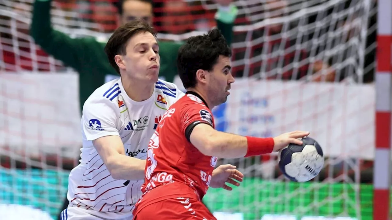 MT Melsungen festigt Spitzenposition mit Heimsieg in der Handball-Bundesliga gegen HSV Hamburg