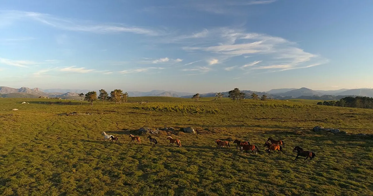 NATURE: Portugal: Wild Land on the Edge