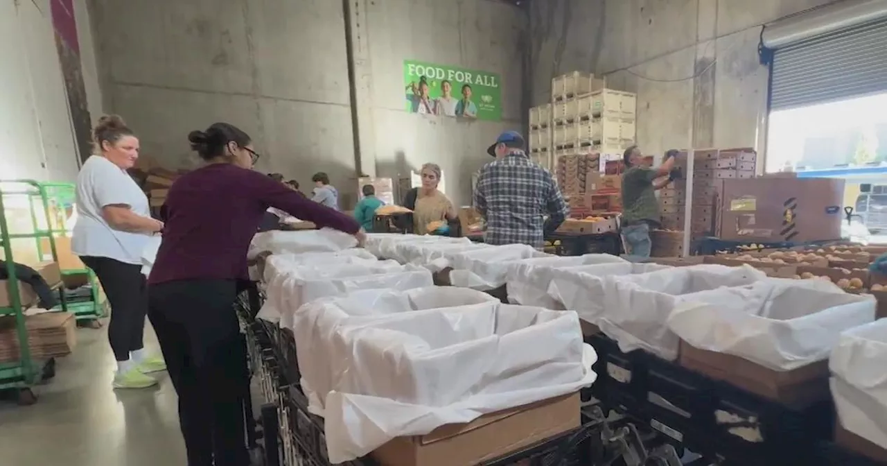 Volunteers play a vital role for San Francisco-Marin Food Bank