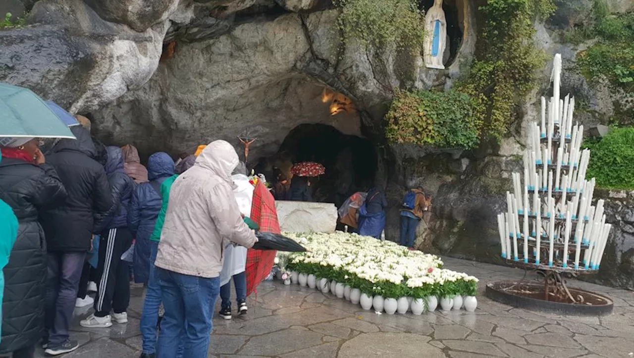 Le 8 décembre au Sanctuaire de Lourdes : 30 000 roses immaculées pour Marie