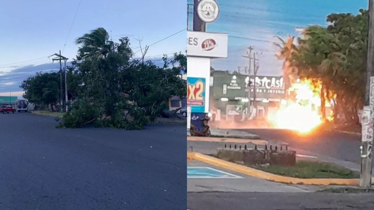 Caída de árboles y cortes de luz en Veracruz y Boca del Río por frente frío 14