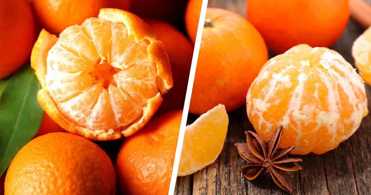 Mandarine ou clémentine ? Ce détail permet de trancher en un clin d’œil