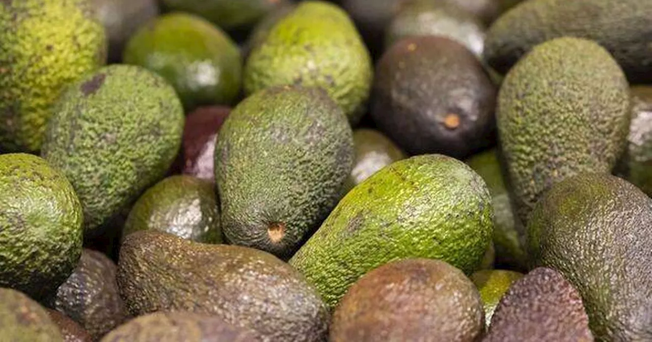 Avocado warning issued as shoppers facing issues at supermarkets