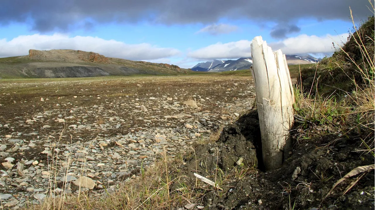 En Arctique, les incendies se multiplient et contribuent au cercle vicieux du changement climatique