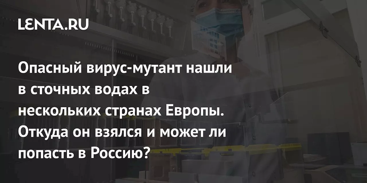 Опасный вирус-мутант нашли в сточных водах в нескольких странах Европы. Откуда он взялся и может ли попасть в Россию?