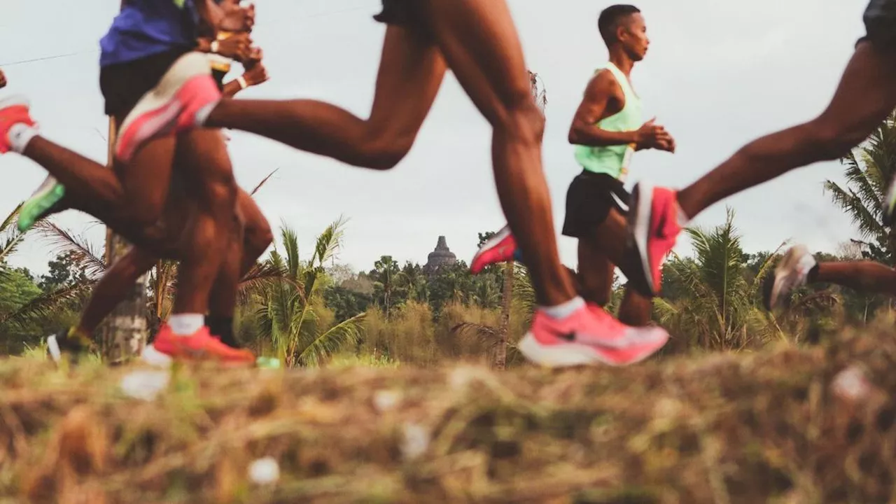 Lomba Lari Marathon di China Tawarkan Hadiah Unik, Ada Ayam hingga Sapi Hidup