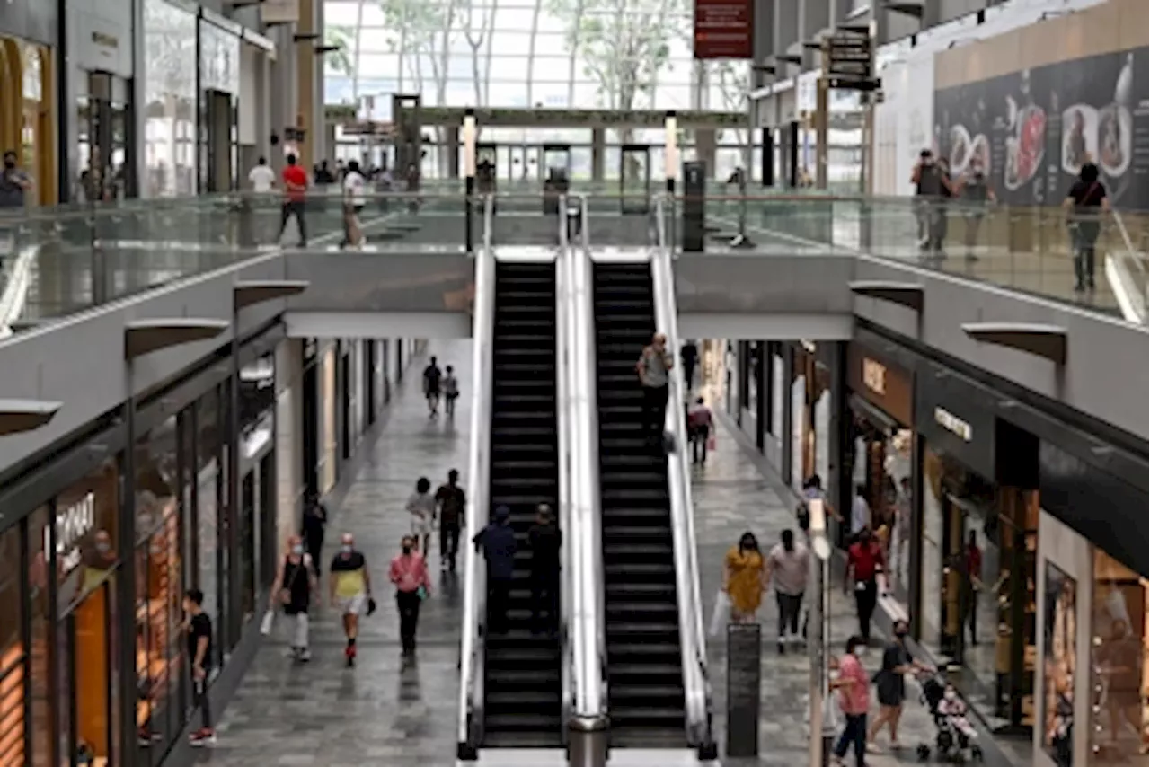 Singapore economists see growth of 3.6pc in 2024, monetary policy unchanged in January