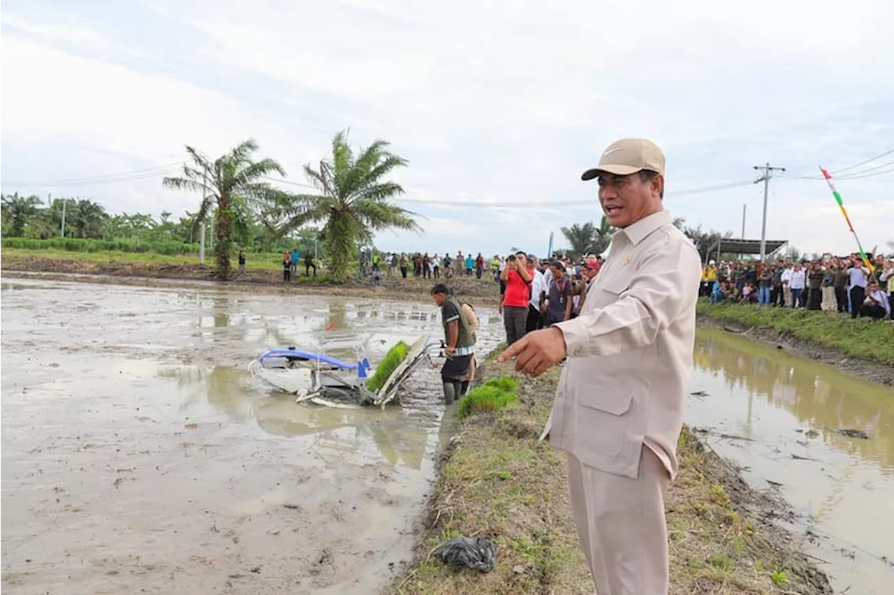 Tinjau Sawah Sumut, Mentan Amran Optimis Program Swasembada Lewat Oplah dan Cetak Sawah Berjalan Lancar