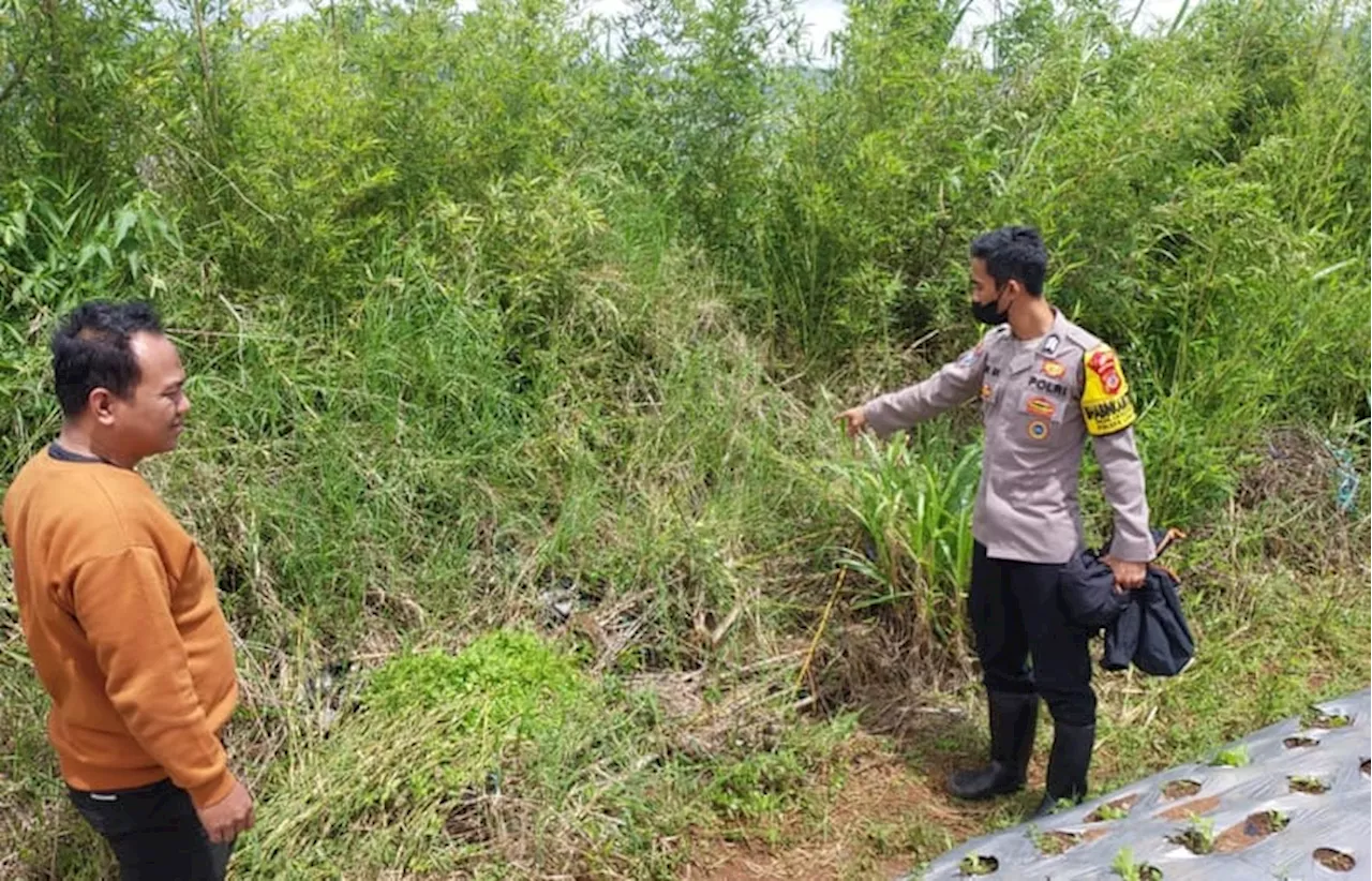 Warga Lembang Temukan Bayi Perempuan Tergeletak di Kebun