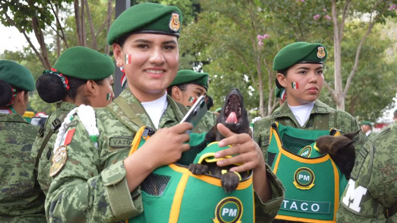 Costco ofrece esta promoción navideña a militares mexicanos