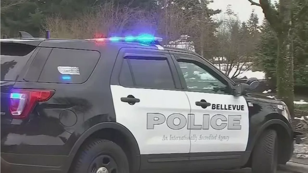 Bellevue police crack down on holiday shoplifting: ‘Expect to go to jail’