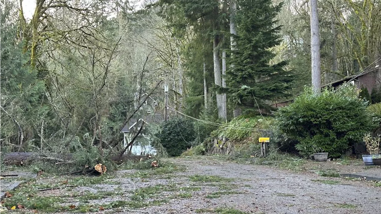 Winds up to 100 mph in the Hanukkah Eve storm