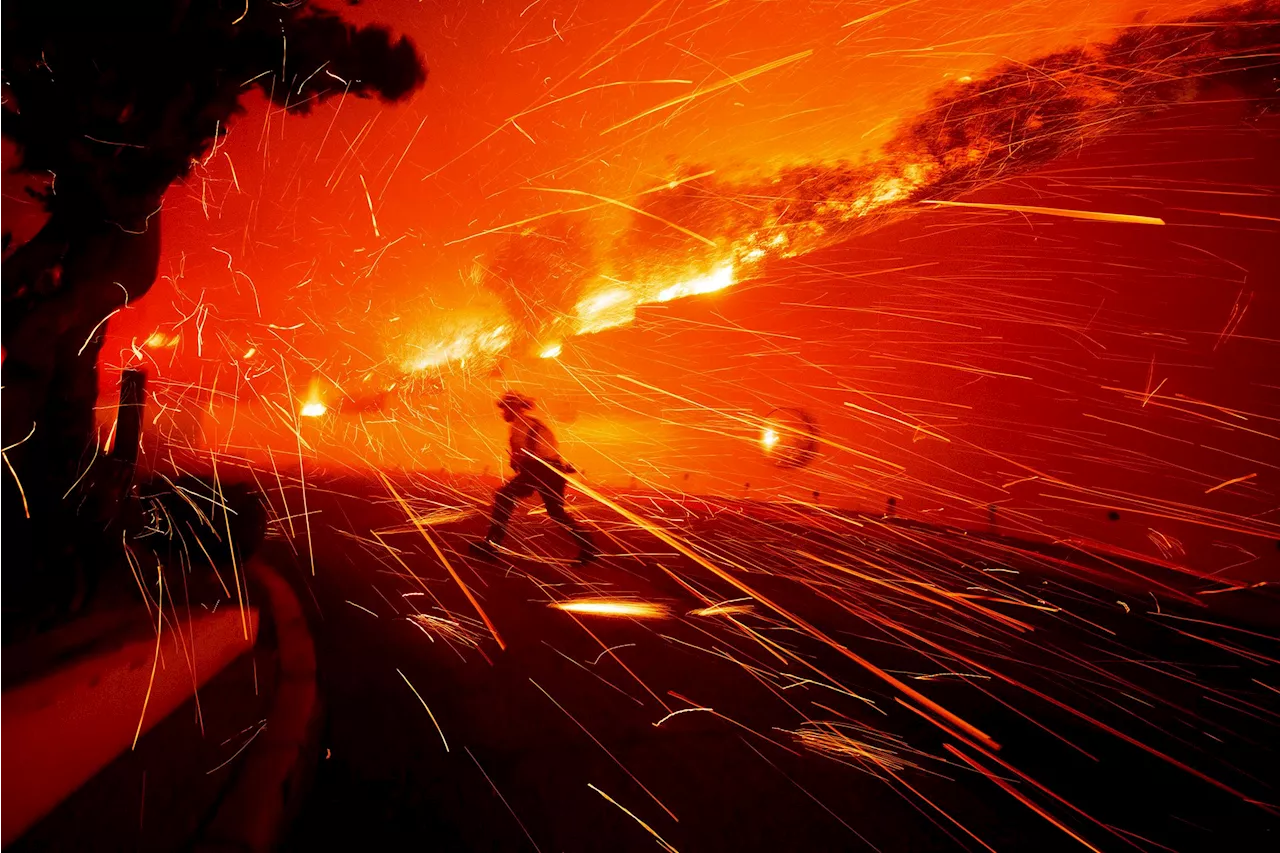 Waldbrand in Malibu außer Kontrolle - auch Promis flüchten