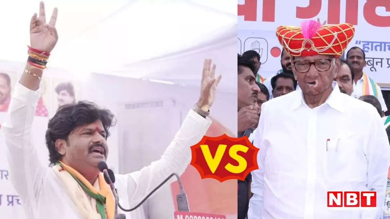 100 शकुनि मरे होंगे तो तब... ईवीएम Vs बैलेट पेपर की सियासी जंग के बीच BJP विधायक गोपीचंद पडलकर का शरद पवार पर प्रहार