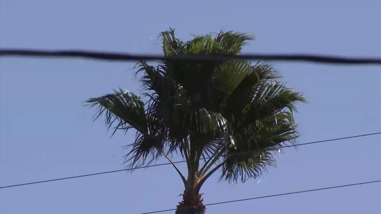 Santa Ana winds diminish but fire threat keeps 30,000 in San Diego without power