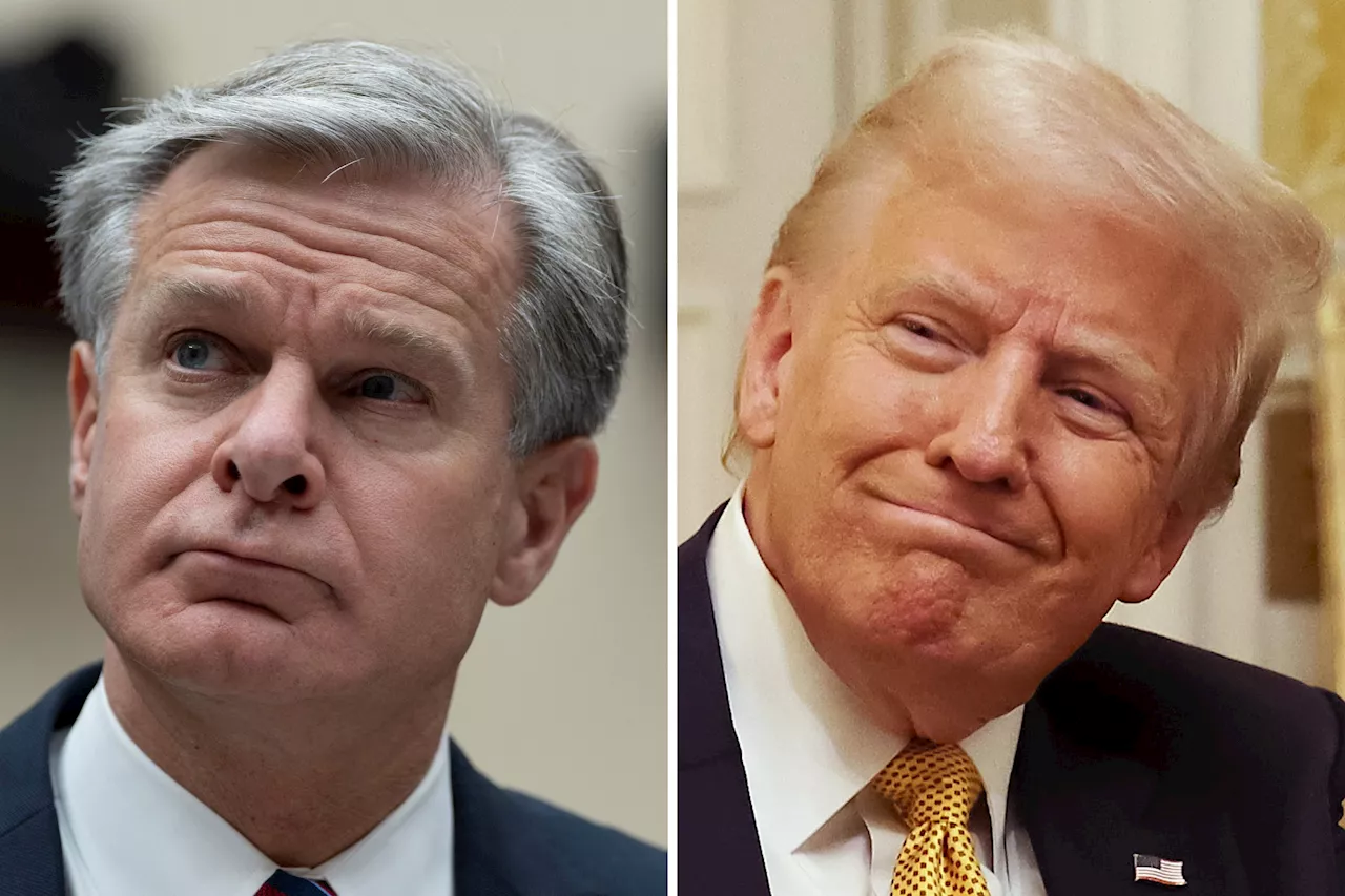 Trump Reacts to Christopher Wray's FBI Resignation, Says Kash Patel is 'Most Qualified'