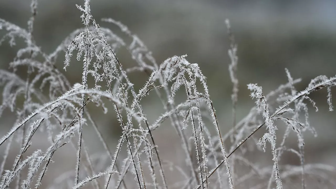 Sachsen-Anhalt: Nebel und Glatteis in Sachsen-Anhalt