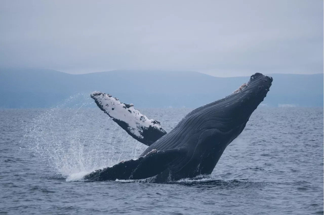 Happy Wanderer: Winter a good time to discover all Santa Barbara offers