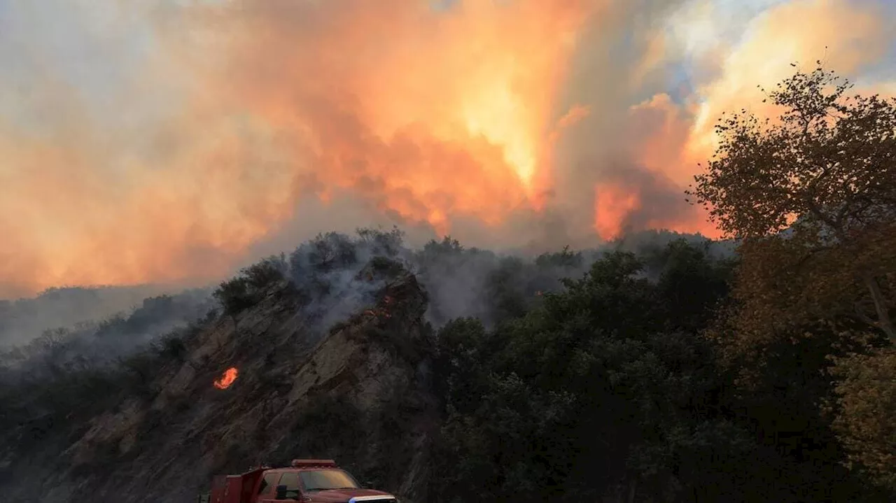 EN IMAGES. Incendie en Californie : des flammes ravagent Malibu, des milliers de personnes évacuées