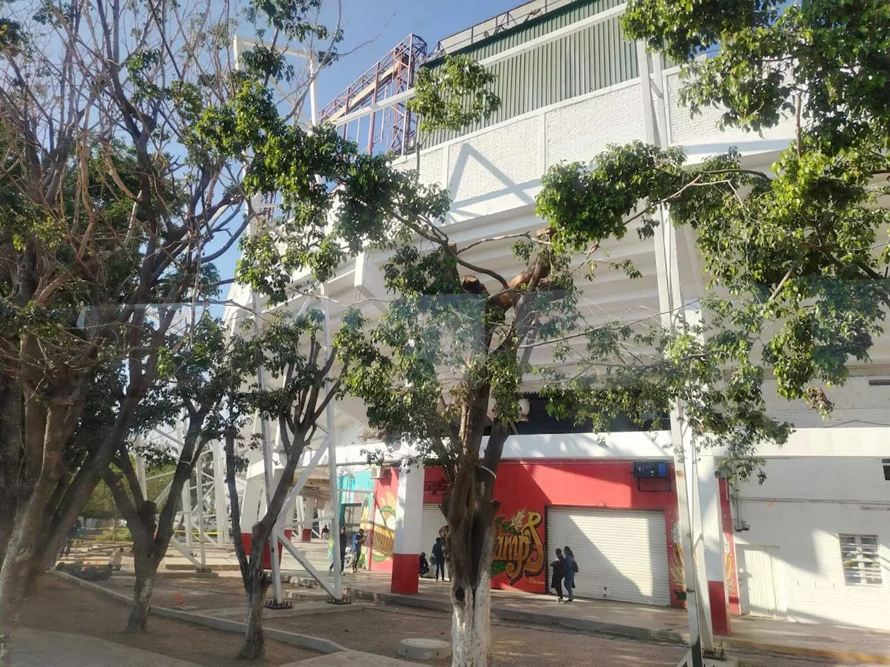 Obras del estadio Sergio León en Irapuato causan poda masiva de árboles