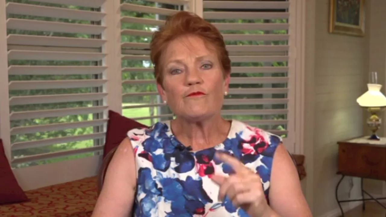 Pauline Hanson calls for more flag bans after Peter Dutton’s pledge