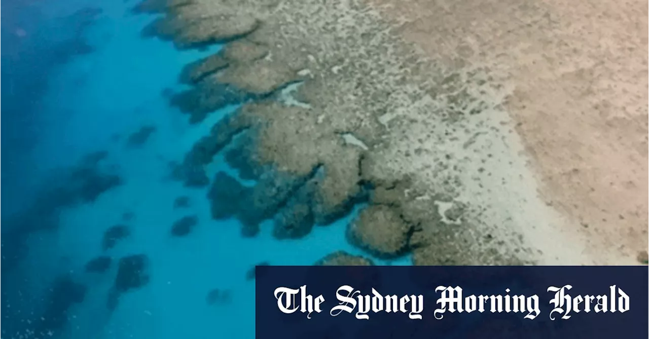 Rare glimpse at stunning reef beside Woodside’s gas-drilling ambitions