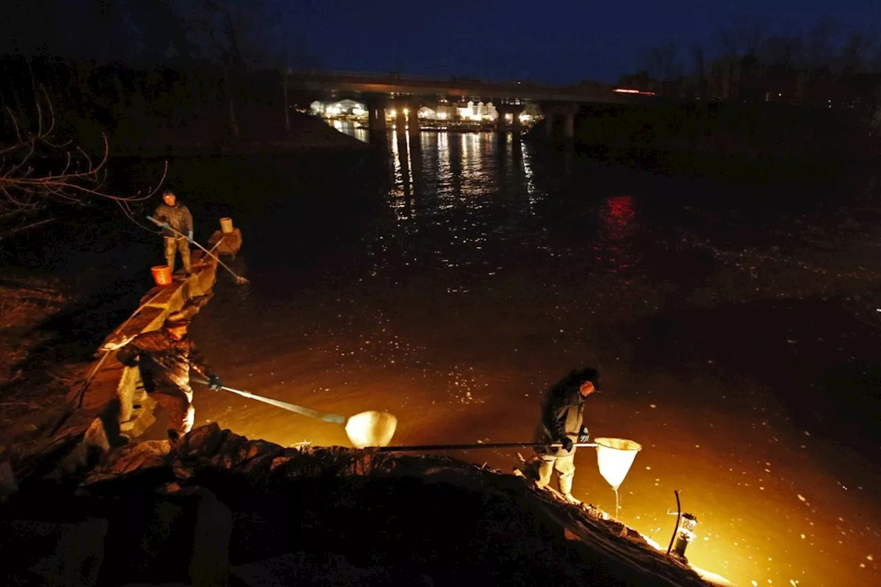 Officer receives suspension after two Mi'kmaq elver fishers left without boots