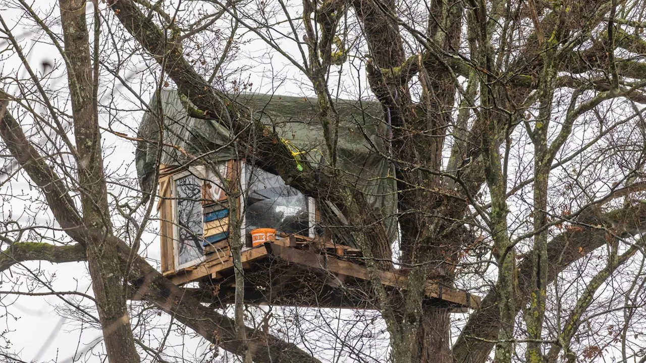 Besetzter Wald: Zwei Menschen in Freiburger Wald festgenommen