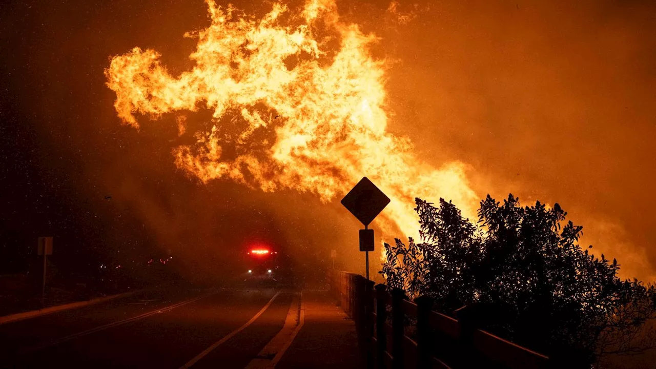 Malibu: Zahlreiche Promis flüchten vor verheerenden Waldbränden